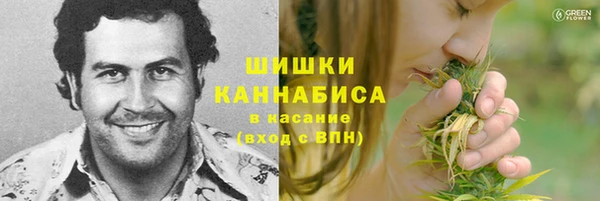 дмт Арсеньев