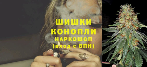 дмт Арсеньев