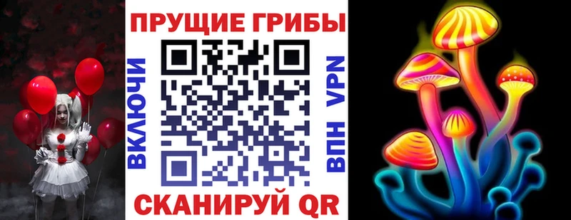 Галлюциногенные грибы Psilocybe  Курчатов 